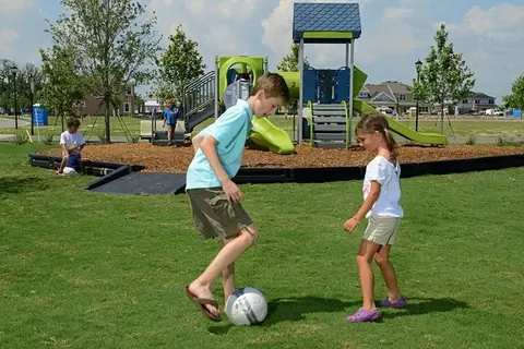 View/Area - 5346 Wolf Creek Dr, Apollo Beach, FL 33572 photo 7 of 22