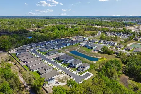 View/Area - 13693 Brushleaf Ct, Hudson, FL 34669 photo 6 of 15