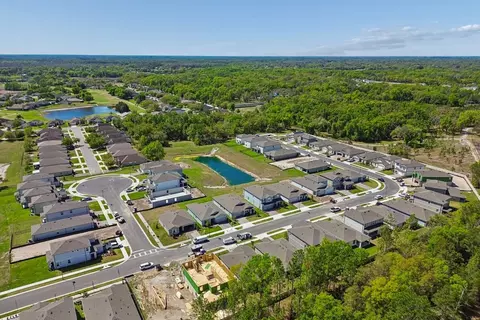 View/Area - 13693 Brushleaf Ct, Hudson, FL 34669 photo 5 of 15