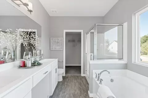 Bath - 2160 Central Park Dr, Troy, MO 63379 photo 2 of 5
