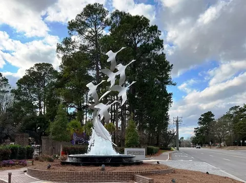 Other - Beckwood Tbd, Sumter, SC 29153 photo 17 of 19