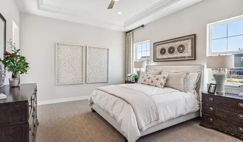 Bedroom - 6096 Oban Rd, Timnath, CO 80547 photo 7 of 10