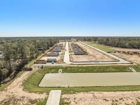View/Area - 10827 Red Flagstone Dr, Conroe, TX 77306 photo 5 of 7