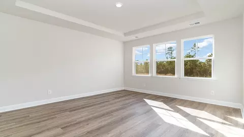 Other - 433 Glacier Way, Conway, SC 29526 photo 3 of 10