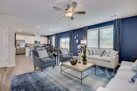 Living - 643 Griffon Dr, Chapin, SC 29036 photo 2 of 3