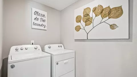 Other - 6099 Holstein Dr, Windsor, CO 80528 photo 3 of 6