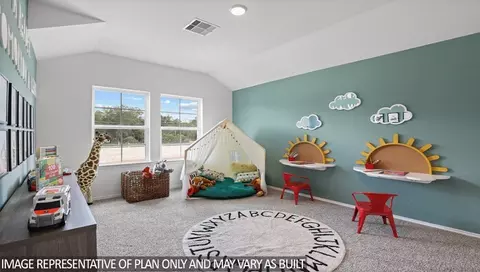 Other - 413 Alder Chase Dr, Hockley, TX 77447 photo 5 of 10