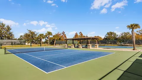View/Area - 8595 Hempstead Way, Mount Dora, FL 32757 photo 5 of 10