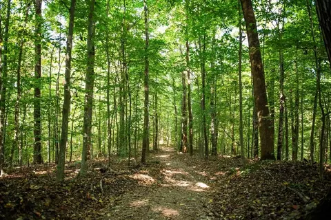 Other - 237 Berryhunter Ln, Franklin, TN 37067 photo 7 of 8