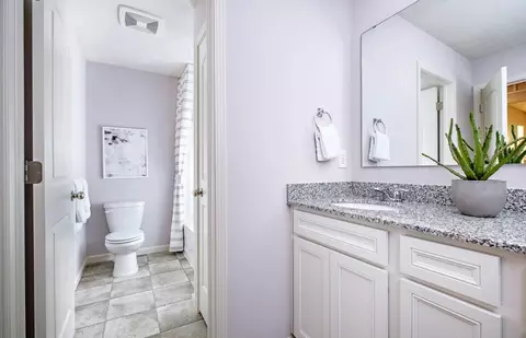 Bath - 12841 S Nicholas Dr, Plainfield, IL 60585 photo 2 of 2