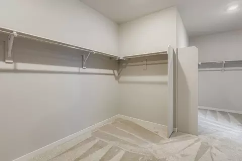 Other - 598 Noola St, Windsor, CO 80550 photo 3 of 16