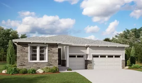 1607 Green Fern Pt, Castle Rock, CO 80104