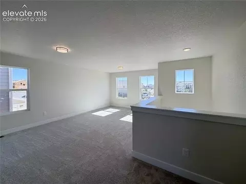 Living - 8206 Lemon Grass Rd, Peyton, CO 80831 photo 4 of 4