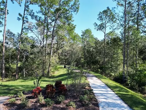 View/Area - 35640 Coventry Fields Loop, Zephyrhills, FL 33541 photo 5 of 6