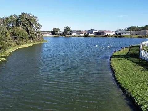View/Area - 35640 Coventry Fields Loop, Zephyrhills, FL 33541 photo 3 of 6