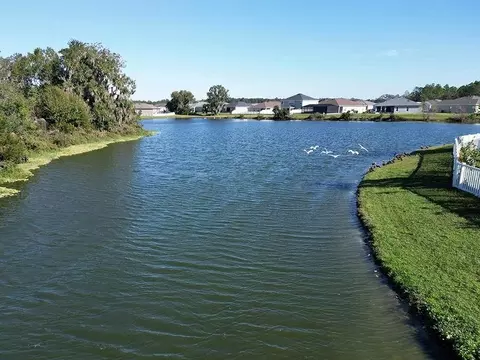 View/Area - 35640 Coventry Fields Loop, Zephyrhills, FL 33541 photo 3 of 6