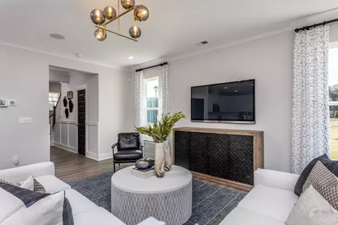 Living - 43 Black Forest Pointe Trl, Benson, NC 27504 photo 3 of 3