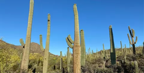 Other - 22017 E Stratus St, Red Rock, AZ 85145 photo 9 of 11
