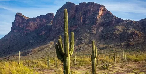 Other - 22017 E Stratus St, Red Rock, AZ 85145 photo 7 of 11