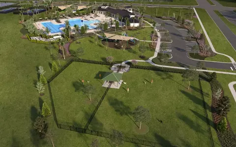 View/Area - 9068 Belleview Forest Pass, Dade City, FL 33525 photo 3 of 10