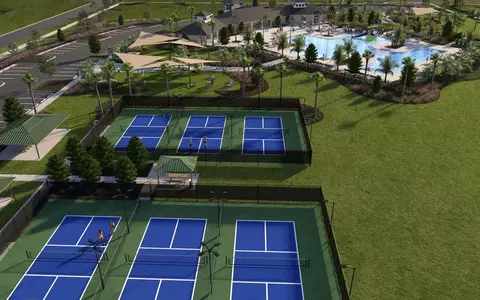 View/Area - 9068 Belleview Forest Pass, Dade City, FL 33525 photo 7 of 10
