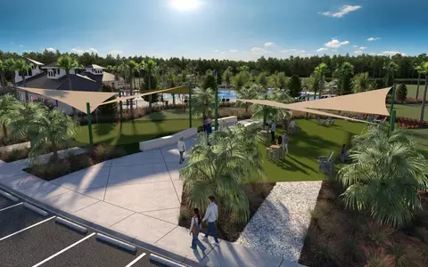 View/Area - 9068 Belleview Forest Pass, Dade City, FL 33525 photo 8 of 10