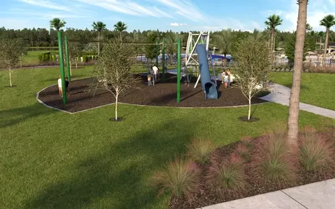 View/Area - 9068 Belleview Forest Pass, Dade City, FL 33525 photo 4 of 10
