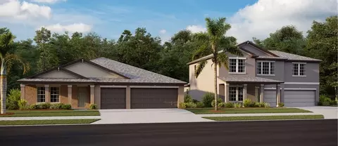 Other - 13627 Sunset Sapphire Ct, Parrish, FL 34219 photo 6 of 11