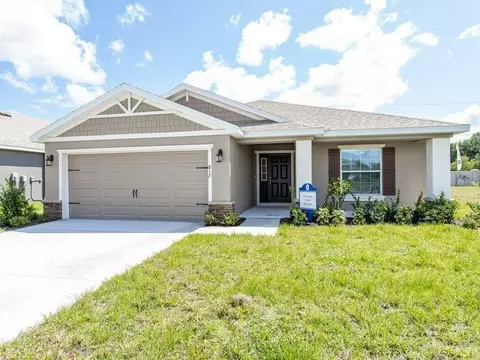 Exterior - 12207 Cypress Branch St, Riverview, FL 33579 photo 5 of 9