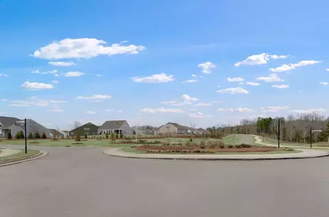 View/Area - 7634 Cotton Crest Ln, Lancaster, SC 29720 photo 1 of 13