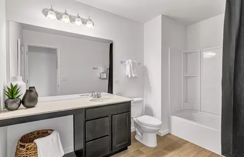Bath - 12396 Eileen St, Lemont, IL 60439 photo 2 of 2