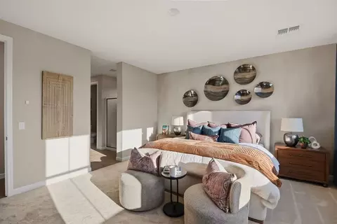 Bedroom - 23664 N 178th Ln, Surprise, AZ 85387 photo 19 of 29