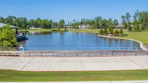 View/Area - 14906 Calluna Heather Ln, Conroe, TX 77302 photo 17 of 26