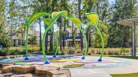 View/Area - 14906 Calluna Heather Ln, Conroe, TX 77302 photo 19 of 26