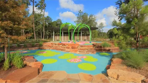 View/Area - 14906 Calluna Heather Ln, Conroe, TX 77302 photo 18 of 26