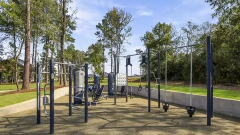 View/Area - 4212 Marigold Meadows Ct, Conroe, TX 77303 photo 9 of 11