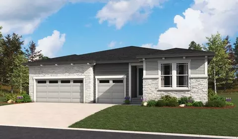 1668 Green Fern Pt, Castle Rock, CO 80104