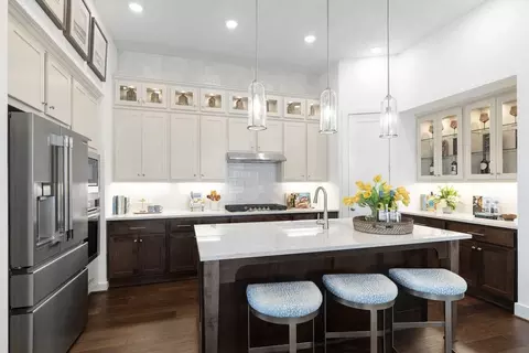 Kitchen - 261 Basket Flower Loop, Kyle, TX 78640 photo 8 of 8