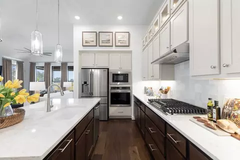 Kitchen - 261 Basket Flower Loop, Kyle, TX 78640 photo 7 of 8