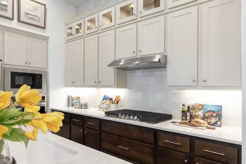Kitchen - 261 Basket Flower Loop, Kyle, TX 78640 photo 4 of 8