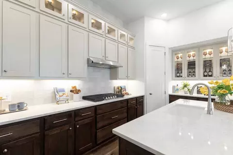 Kitchen - 261 Basket Flower Loop, Kyle, TX 78640 photo 6 of 8