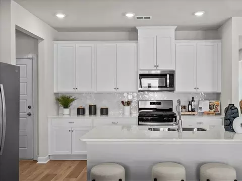 Kitchen - 95 Thistle Patch Pl, Angier, NC 27501 photo 3 of 7