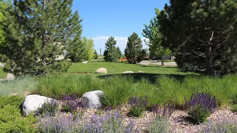 Other - 3501 Switchgrass Ln, Dacono, CO 80514 photo 9 of 10