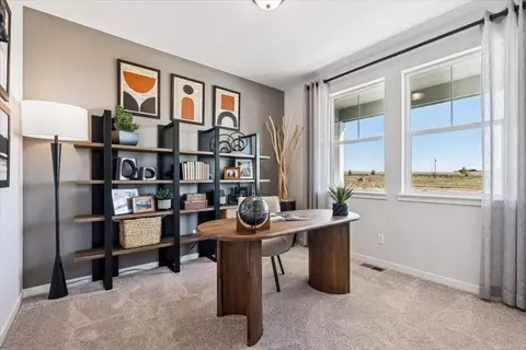Other - 3501 Switchgrass Ln, Dacono, CO 80514 photo 4 of 10