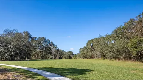 View/Area - 3307 Mindfullness Dr, Clermont, FL 34714 photo 11 of 15
