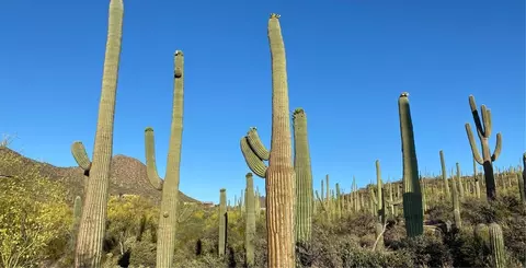 Other - 8620 S Rocking K Ranch Loop, Vail, AZ 85641 photo 2 of 14