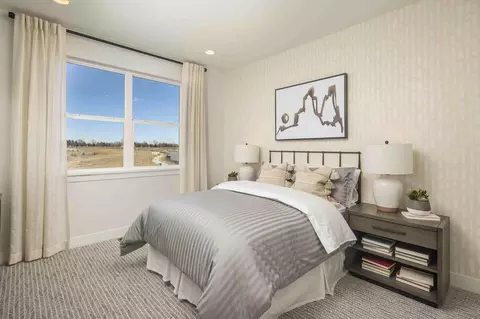 Bedroom - 2093 Falling Leaf, Windsor, CO 80550 photo 3 of 13