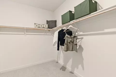 Other - 1838 S Romesh St, Mountain House, CA 95391 photo 24 of 24