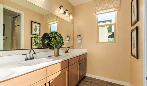 Bath - 10066 S Canyon Trl, Apache Junction, AZ 85120 photo 3 of 6