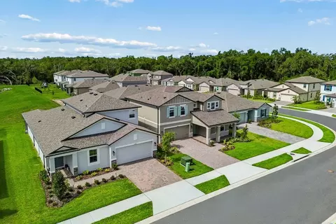 View/Area - 13718 Chestnut Ridge Dr, Hudson, FL 34669 photo 13 of 16